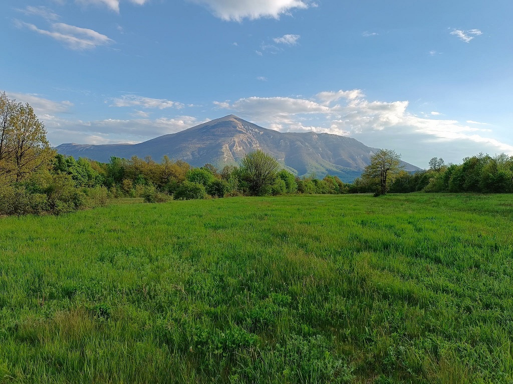 Pogled na vrh Rtnja iz vile